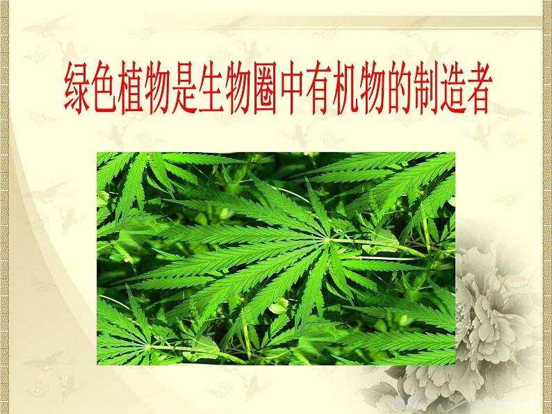 绿色植物是生物圈中有机物的制造者 课件+教案01