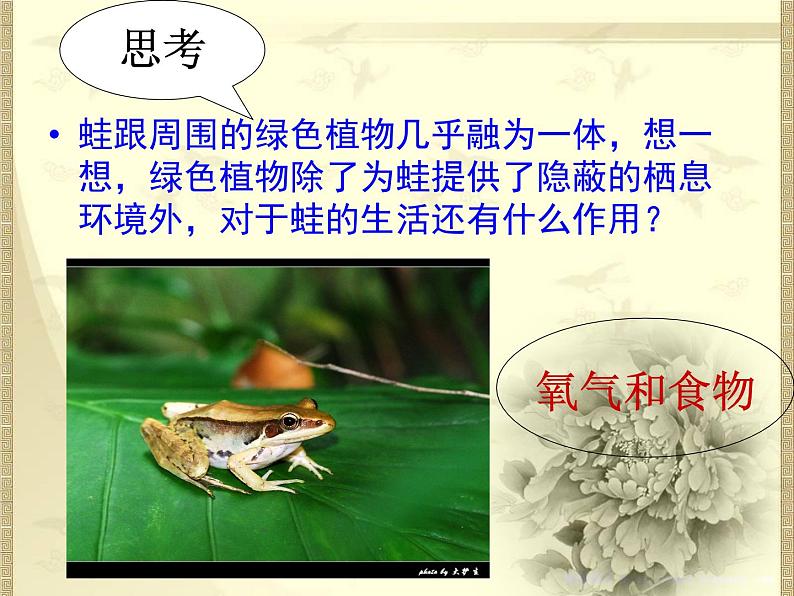 绿色植物是生物圈中有机物的制造者 课件+教案02