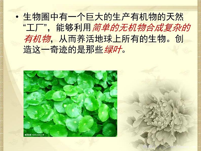 绿色植物是生物圈中有机物的制造者 课件+教案03