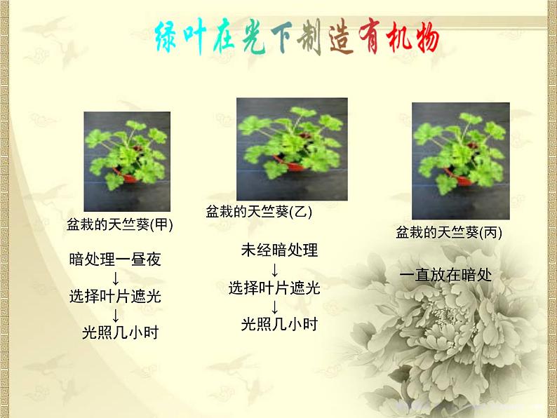 绿色植物是生物圈中有机物的制造者 课件+教案05