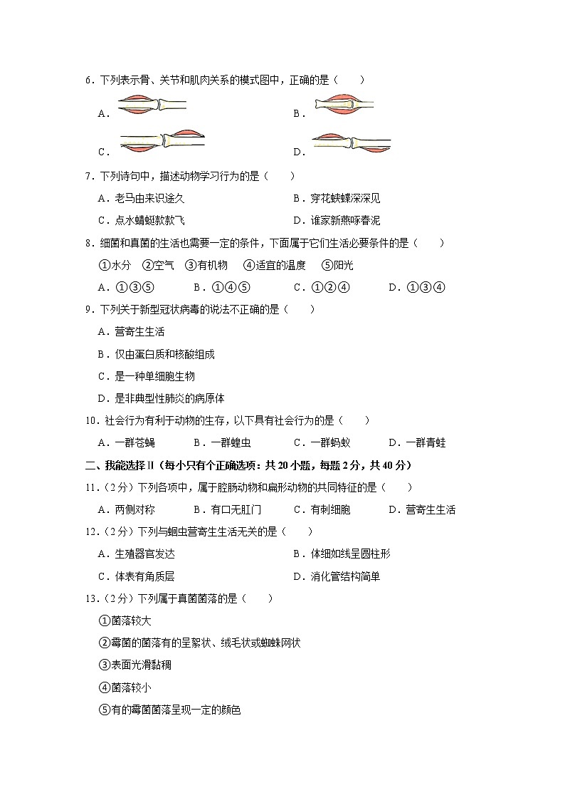 湖南省怀化市顺天路中学2021-2022学年八年级上学期期中生物试卷02