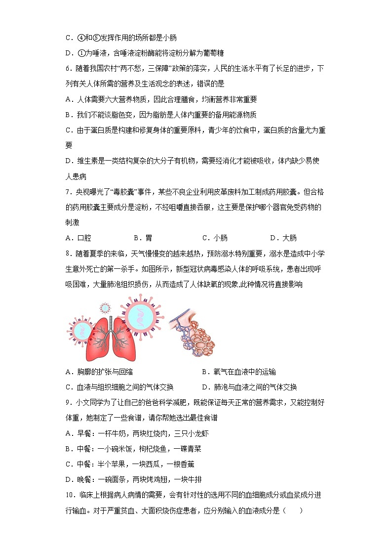 湖南省怀化市鹤城区2021-2022学年七年级下学期期末生物试题(word版含答案)第2页