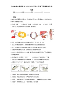 山东省泰安市新泰市2021-2022学年七年级下学期期末生物试题(word版含答案)