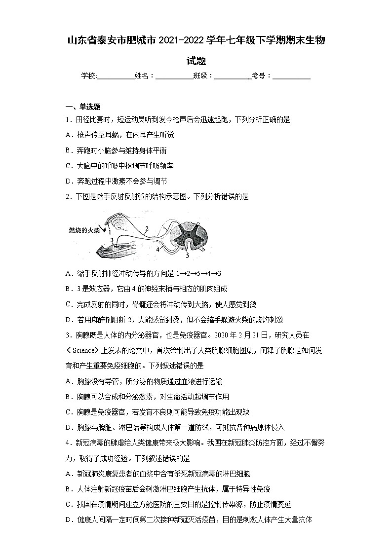 山东省泰安市肥城市2021-2022学年七年级下学期期末生物试题(word版含答案)第1页