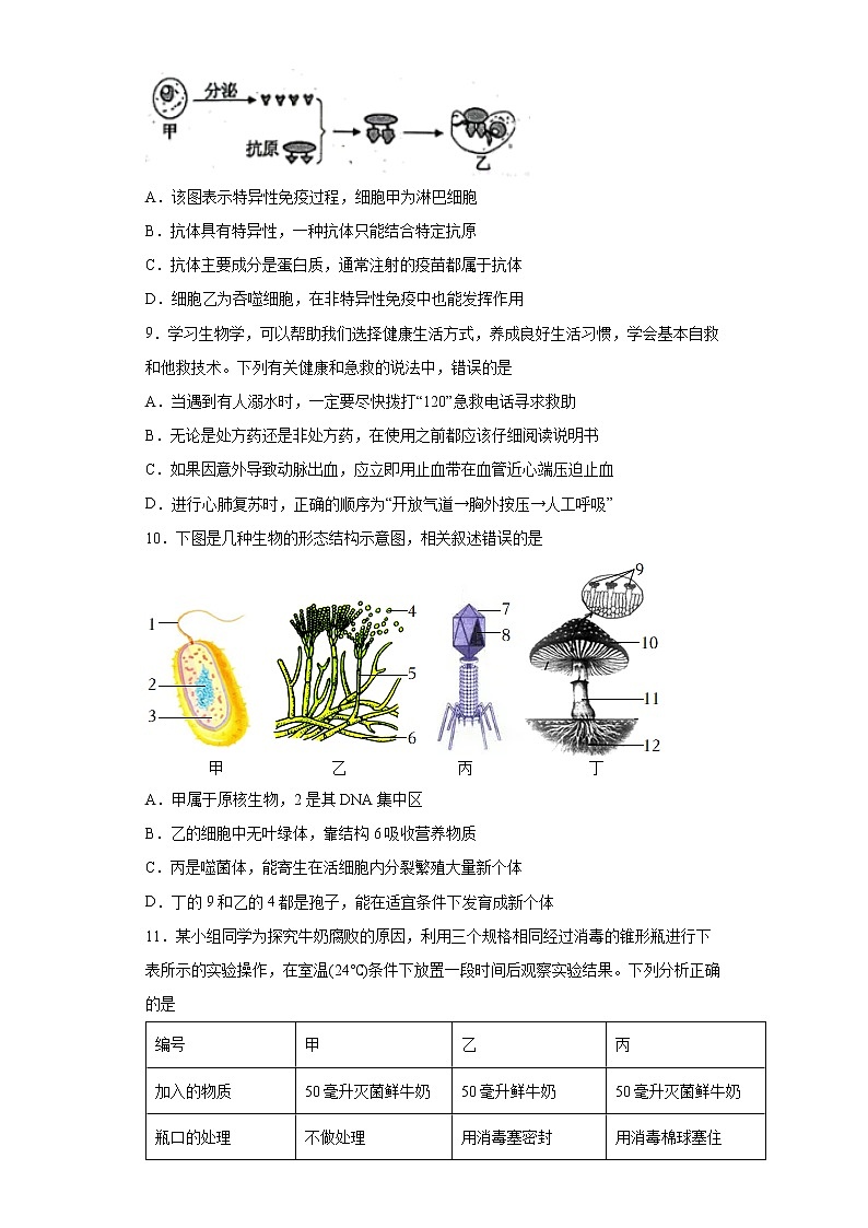 山东省泰安市肥城市2021-2022学年七年级下学期期末生物试题(word版含答案)第3页