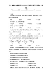 山东省烟台市蓬莱区2021-2022学年七年级下学期期末生物试题(word版含答案)