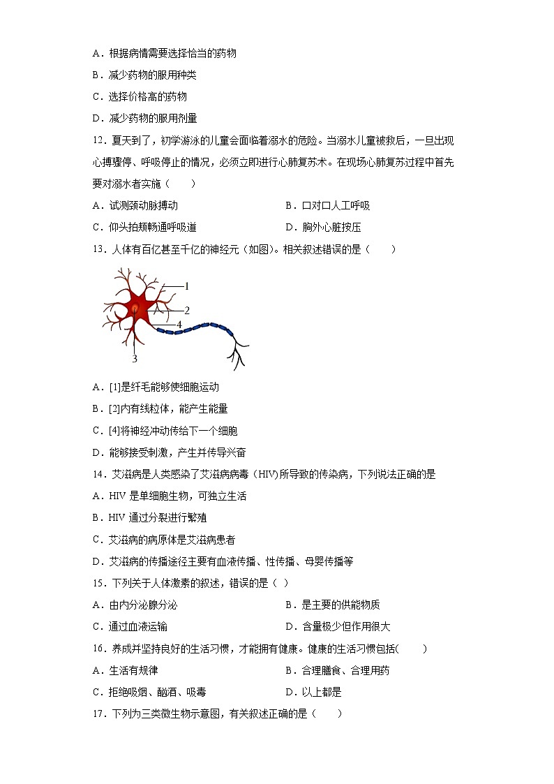 山东省烟台市蓬莱区2021-2022学年七年级下学期期末生物试题(word版含答案)第3页