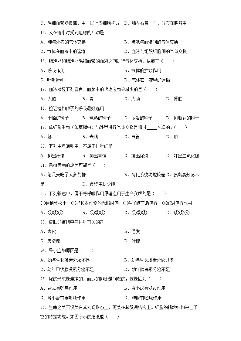 北京市门头沟区2021-2022学年七年级下学期期末生物试题(word版含答案)03
