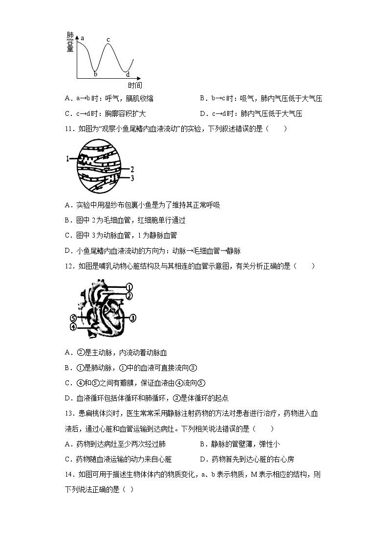 山东省青岛市胶州市2021-2022学年七年级下学期期末生物试题(word版含答案)第3页