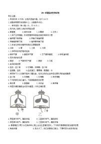 黑龙江省齐齐哈尔市铁锋区2021-2022学年七年级下学期期中生物试题(word版含答案)