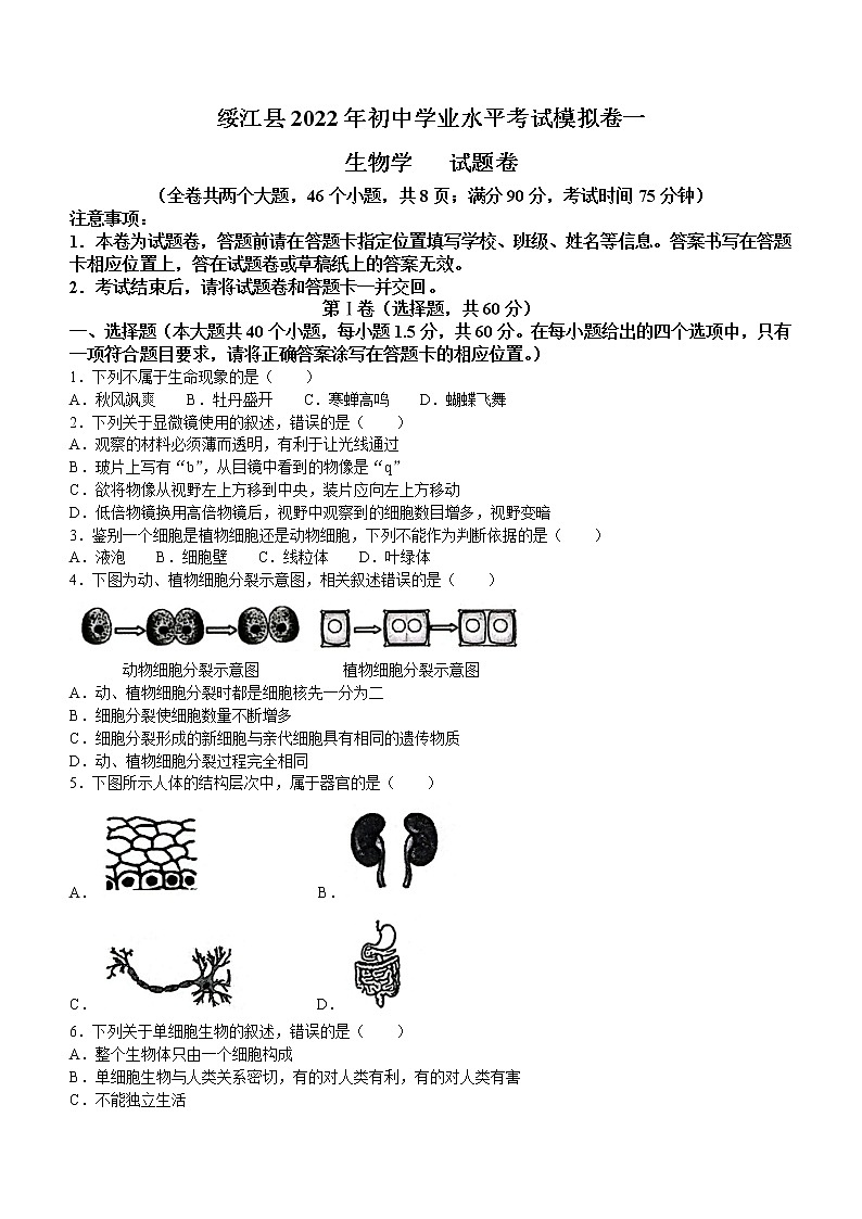 云南省昭通市绥江县2021-2022学年八年级下学期期中生物试题(word版含答案)01