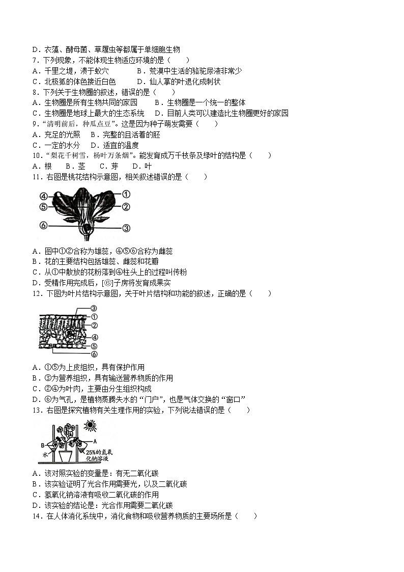 云南省昭通市绥江县2021-2022学年八年级下学期期中生物试题(word版含答案)02
