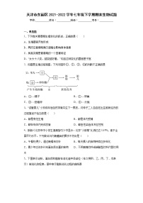 天津市东丽区2021-2022学年七年级下学期期末生物试题(word版含答案)