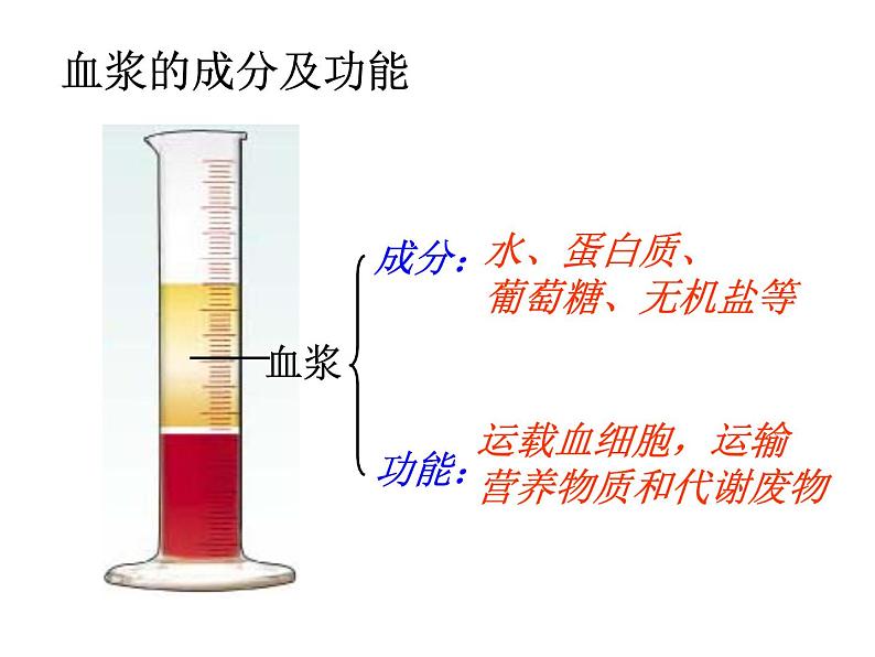 苏科版初中生物八年级上册《人体内物质的运输》课件06