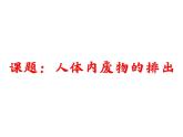 人教版初中生物七年级下册《人体内废物的排出》课件