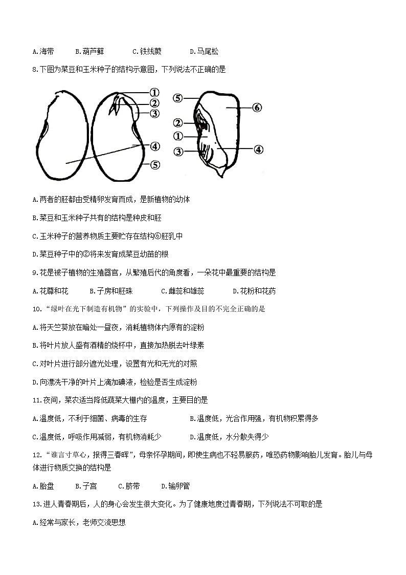 2022年云南省昭通市昭阳区初中学业水平模拟考试(三)生物试题(word版含答案)02