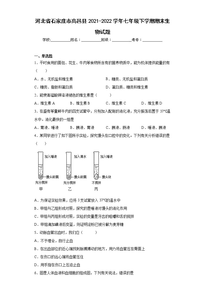 河北省石家庄市高邑县2021-2022学年七年级下学期期末生物试题(word版含答案)第1页