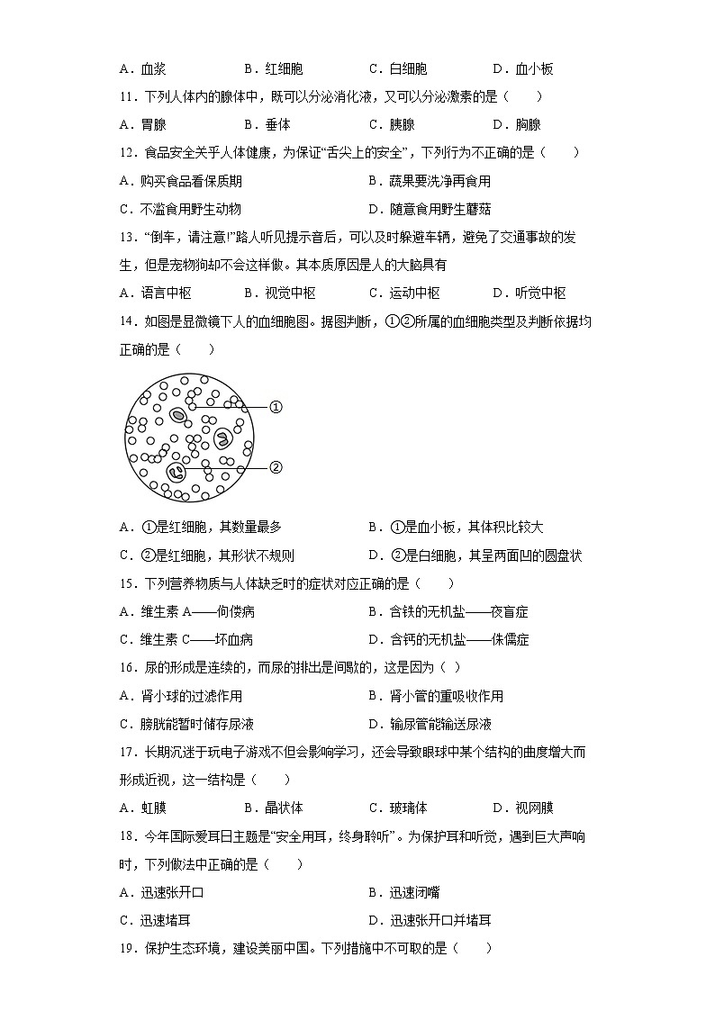 辽宁省大连市甘井子区2021-2022学年七年级下学期期末生物试题(word版含答案)02
