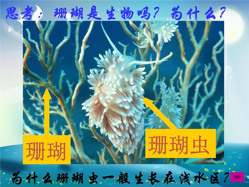 生物的基本特征课件第6页