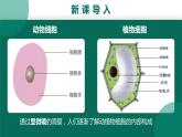 教学课件：第一章第一节：练习使用显微镜