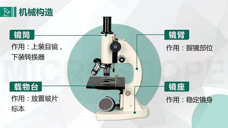 教学课件：第一章第一节：练习使用显微镜第6页