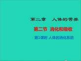 生物人教版七年级下册同步教学课件第4单元第2章人体的营养第2节消化和吸收第1课时人体的消化系统