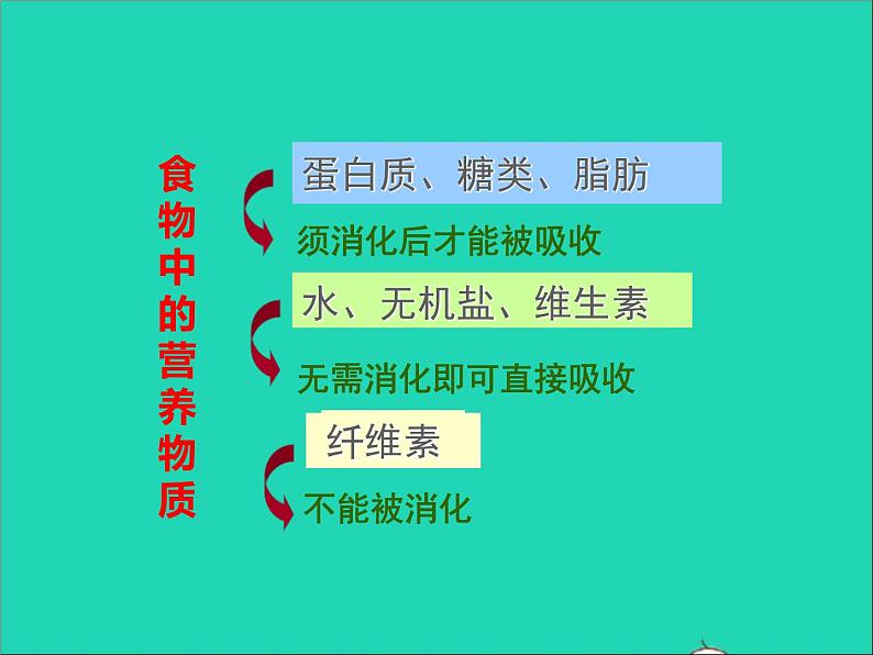 生物人教版七年级下册同步教学课件第4单元第2章人体的营养第2节消化和吸收第1课时人体的消化系统第7页