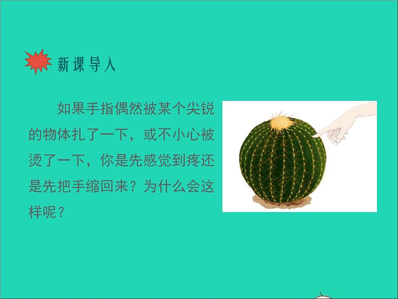 生物人教版七年级下册同步教学课件第4单元第6章人体生命活动的调节第3节神经调节的基本方式02