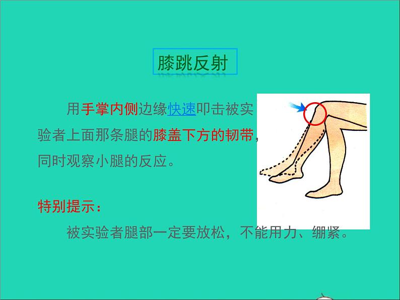 生物人教版七年级下册同步教学课件第4单元第6章人体生命活动的调节第3节神经调节的基本方式04