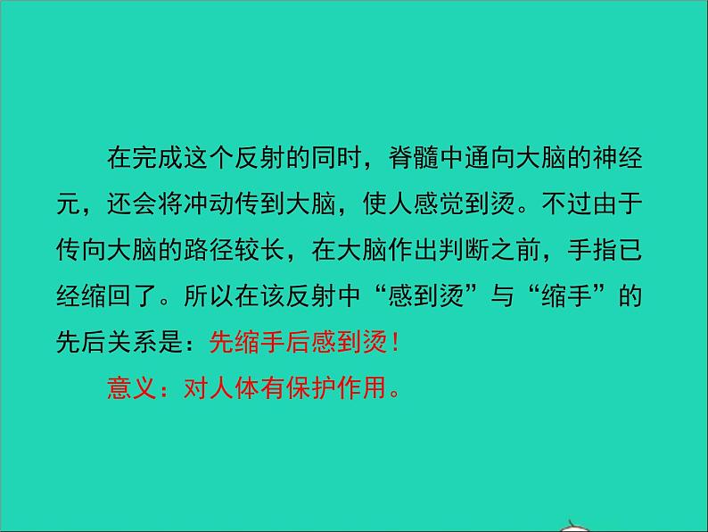 生物人教版七年级下册同步教学课件第4单元第6章人体生命活动的调节第3节神经调节的基本方式08