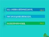 生物人教版七年级下册同步教学课件第4单元 生物圈中的人第2章 人体的营养第1节食物中的营养物质