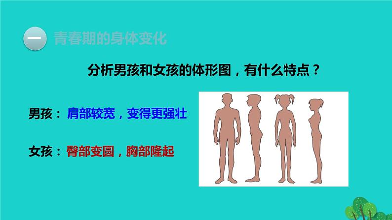 生物人教版七年级下册同步教学课件第4单元 生物圈中的人第1章 人的由来第3节青春期08