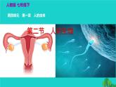 生物人教版七年级下册同步教学课件第4单元 生物圈中的人第1章 人的由来第2节人的生殖