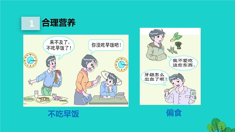 生物人教版七年级下册同步教学课件第4单元 生物圈中的人第2章 人体的营养第3节合理营养与食品安全第4页