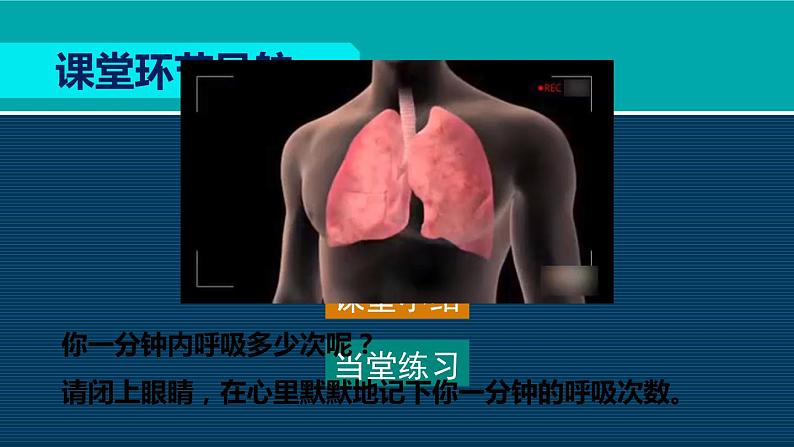 生物人教版七年级下册同步教学课件第4单元 生物圈中的人第3章 人体的呼吸第2节发生在肺内的气体交换02