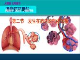 生物人教版七年级下册同步教学课件第4单元 生物圈中的人第3章 人体的呼吸第2节发生在肺内的气体交换