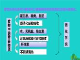 生物人教版七年级下册同步教学课件第4单元 生物圈中的人第2章 人体的营养第2节消化和吸收第1课时食物的消化