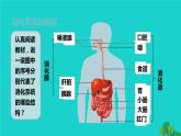 生物人教版七年级下册同步教学课件第4单元 生物圈中的人第2章 人体的营养第2节消化和吸收第1课时食物的消化