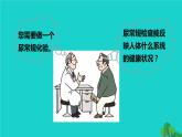 生物人教版七年级下册同步教学课件第4单元 生物圈中的人第5章 人体内废物的排出