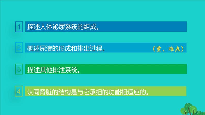 生物人教版七年级下册同步教学课件第4单元 生物圈中的人第5章 人体内废物的排出03