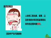 生物人教版七年级下册同步教学课件第4单元 生物圈中的人第5章 人体内废物的排出