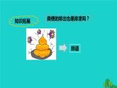 生物人教版七年级下册同步教学课件第4单元 生物圈中的人第5章 人体内废物的排出