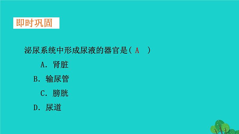 生物人教版七年级下册同步教学课件第4单元 生物圈中的人第5章 人体内废物的排出08