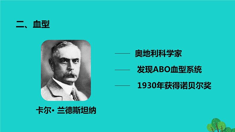 生物人教版七年级下册同步教学课件第4单元 生物圈中的人第4章 人体内物质的运输第4节输血与血型06