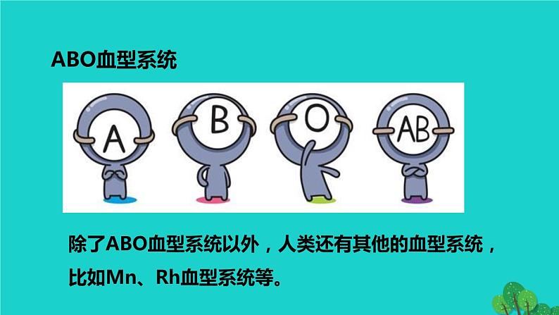 生物人教版七年级下册同步教学课件第4单元 生物圈中的人第4章 人体内物质的运输第4节输血与血型08