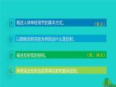 生物人教版七年级下册同步教学课件第4单元 生物圈中的人第6章 人体生命活动的调节第3节神经调节的基本方式