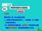 生物人教版七年级下册同步教学课件第4单元 生物圈中的人第6章 人体生命活动的调节第3节神经调节的基本方式