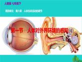 生物人教版七年级下册同步教学课件第4单元 生物圈中的人第6章 人体生命活动的调节第1节人体对外界环境的感知