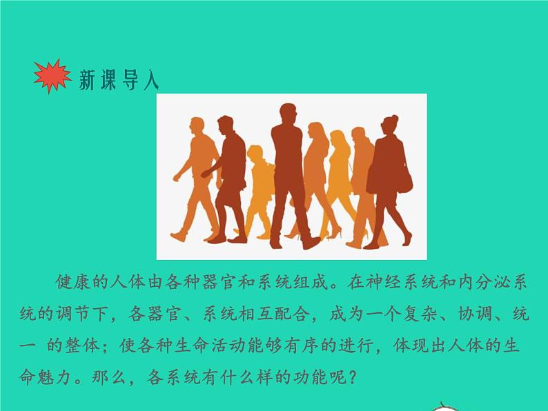 生物苏教版七年级下册同步教学课件第4单元 生物圈中的人第8章人的生殖和发育第3节人体概述1第2页