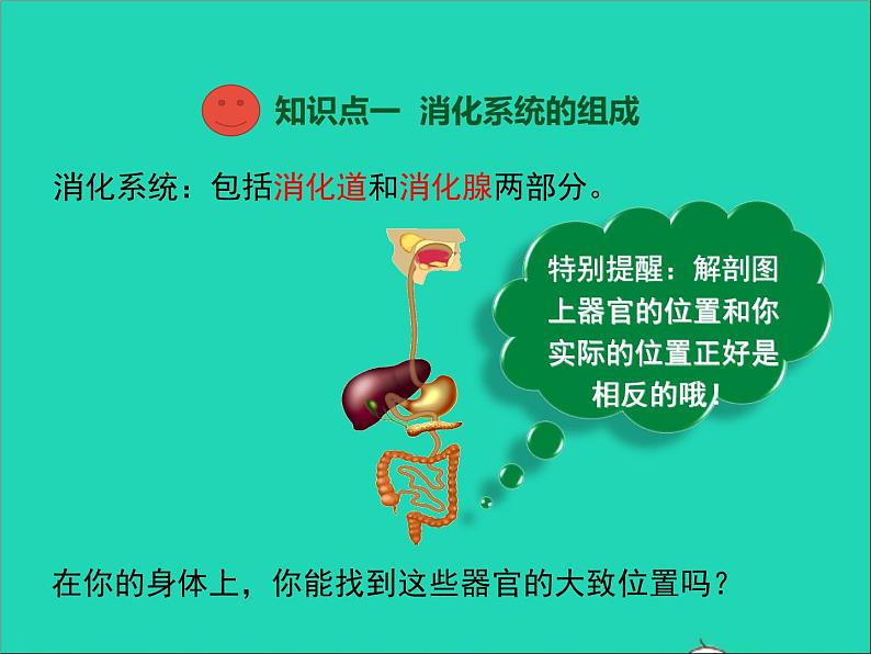 生物人教版七年级下册同步教学课件第4单元 生物圈中的人第2章人体的营养第2节消化和吸收第1课时人体的消化系统03